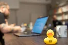 ROQ rubber duck